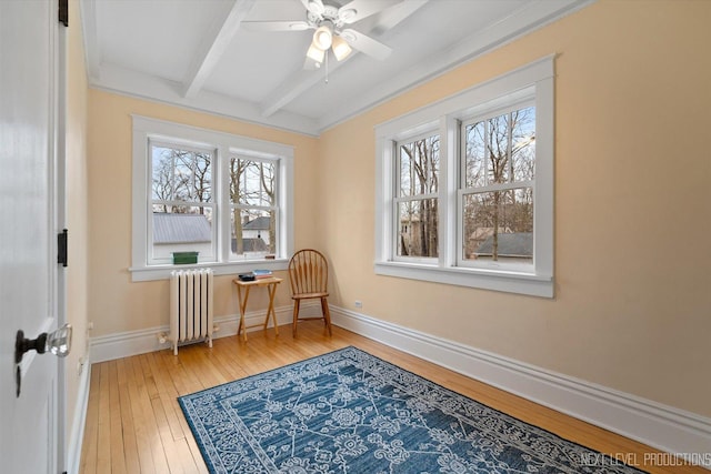 352 Elm St, Batavia, IL 60510 - sunroom featuring radiator heating unit, beam ceiling, and plenty of natural light