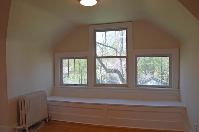 352 Elm St, Batavia, IL 60510 - additional living space featuring radiator heating unit, plenty of natural light, lofted ceiling, and wood finished floors