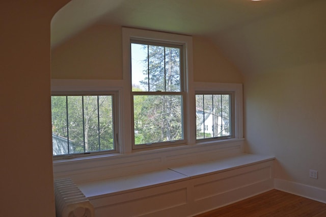 352 Elm St, Batavia, IL 60510 - additional living space with radiator, vaulted ceiling, wood finished floors, and baseboards