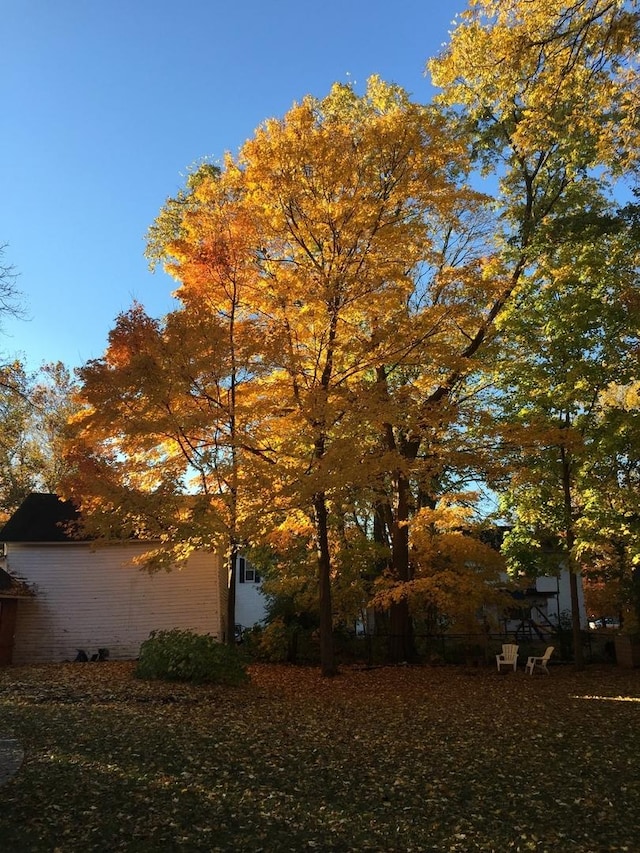 352 Elm St, Batavia, IL 60510 - view of yard