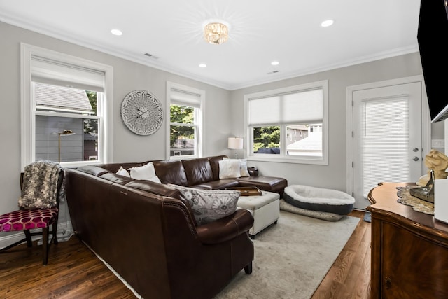 439 Thomas Ave, Forest Park, IL 60130 - living area with crown molding, dark wood finished floors, plenty of natural light, and recessed lighting
