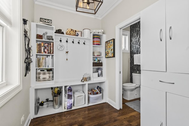439 Thomas Ave, Forest Park, IL 60130 - view of pantry