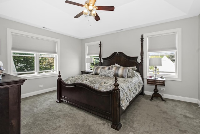 439 Thomas Ave, Forest Park, IL 60130 - carpeted bedroom featuring multiple windows and ceiling fan
