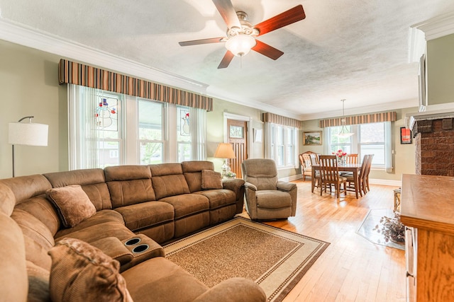 10 N Broadview Ave, Lombard, IL 60148 - living room featuring crown molding, ceiling fan, light wood-style floors, baseboards, and a textured ceiling