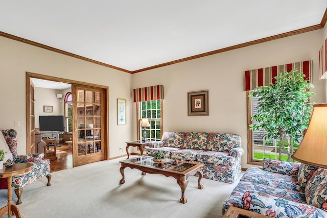 801 Fieldale Ln, Grayslake, IL 60030 - carpeted living room with ornamental molding and baseboards