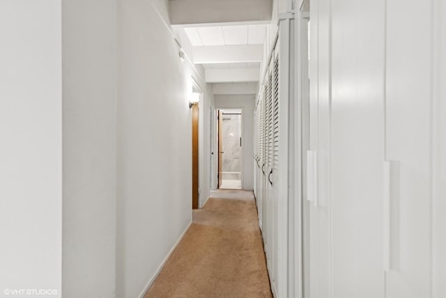 1864 Sherman Ave Unit 3Sw, Evanston, IL 60201 - photo 15