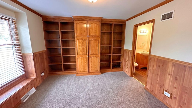 3420 203rd St, Olympia Fields, IL 60461 - unfurnished bedroom with wainscoting, wooden walls, crown molding, a sink, and light colored carpet