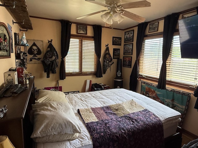 11109 US Highway 14, Woodstock, IL 60098 - bedroom featuring ceiling fan