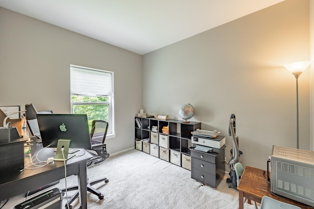 520 Carriage Way S, Elgin, IL 60177 - photo 25