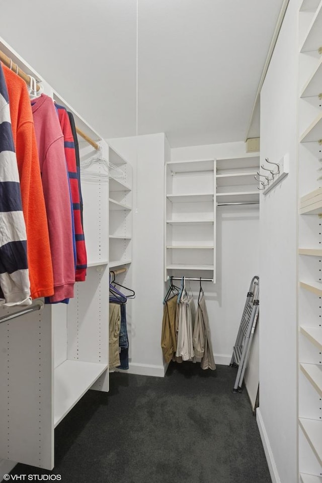 3550 N Lake Shore Dr Unit 1901, Chicago, IL 60657 - walk in closet featuring carpet