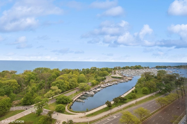 3550 N Lake Shore Dr Unit 1901, Chicago, IL 60657 - bird's eye view of a nearby body of water