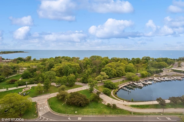 3550 N Lake Shore Dr Unit 1901, Chicago, IL 60657 - bird's eye view of a nearby body of water and a tree filled landscape