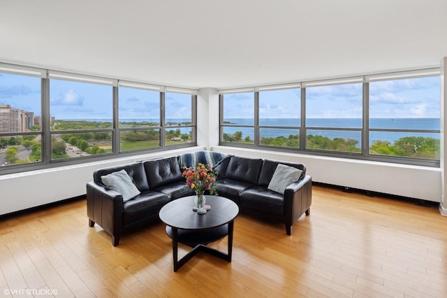 3550 N Lake Shore Dr Unit 1901, Chicago, IL 60657 - living room featuring plenty of natural light and light wood-style flooring