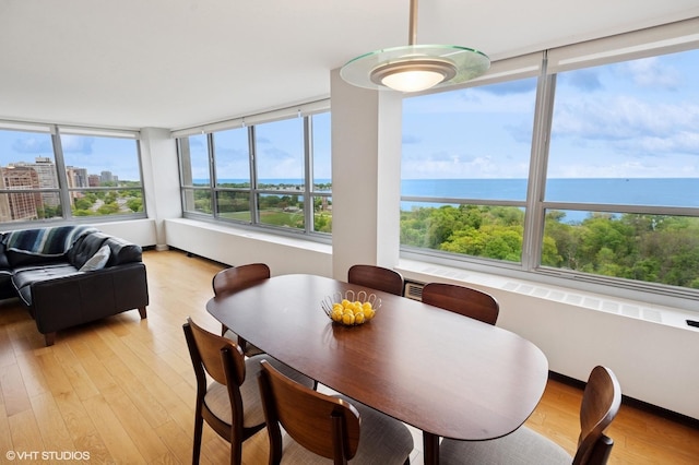 3550 N Lake Shore Dr Unit 1901, Chicago, IL 60657 - dining room with light wood-type flooring, healthy amount of natural light, and a water view