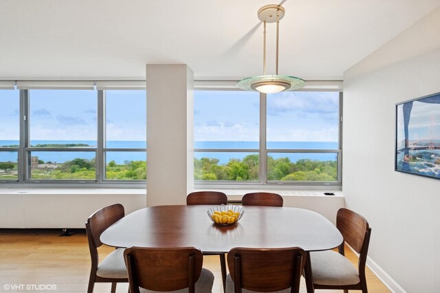 3550 N Lake Shore Dr Unit 1901, Chicago, IL 60657 - dining area featuring light wood-style flooring