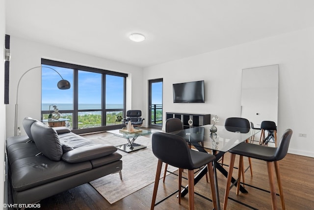 130 N Garland Ct Unit 2009, Chicago, IL 60602 - living room featuring wood finished floors and baseboards