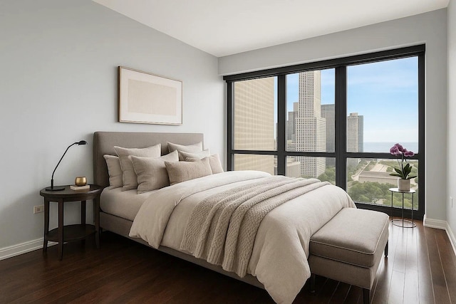 130 N Garland Ct Unit 2009, Chicago, IL 60602 - bedroom with baseboards, dark wood-style flooring, and multiple windows