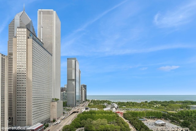 130 N Garland Ct Unit 2009, Chicago, IL 60602 - city view with a large body of water