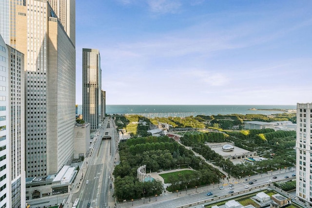 130 N Garland Ct Unit 2009, Chicago, IL 60602 - view of urban area featuring a large body of water and a main thoroughfare
