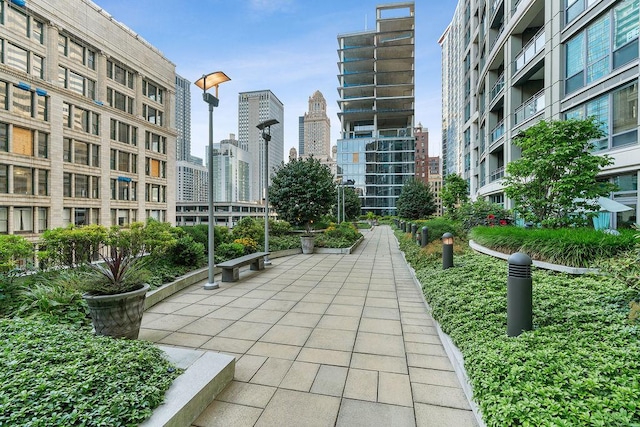 130 N Garland Ct Unit 2009, Chicago, IL 60602 - surrounding community featuring a skyline view