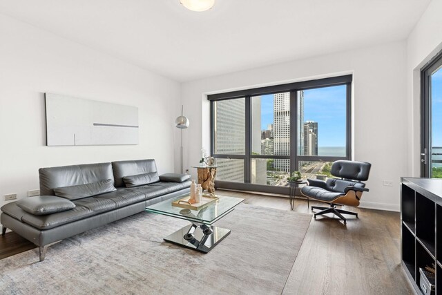 130 N Garland Ct Unit 2009, Chicago, IL 60602 - living area featuring wood finished floors, a city view, and baseboards