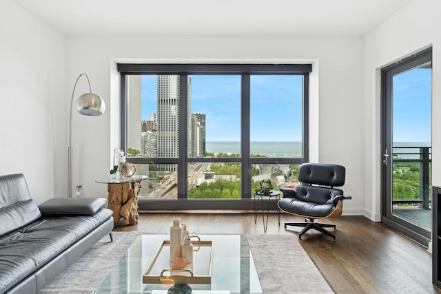 130 N Garland Ct Unit 2009, Chicago, IL 60602 - living area with wood finished floors, a water view, and baseboards