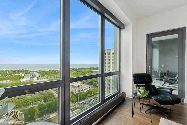 130 N Garland Ct Unit 2009, Chicago, IL 60602 - sunroom / solarium featuring a water view