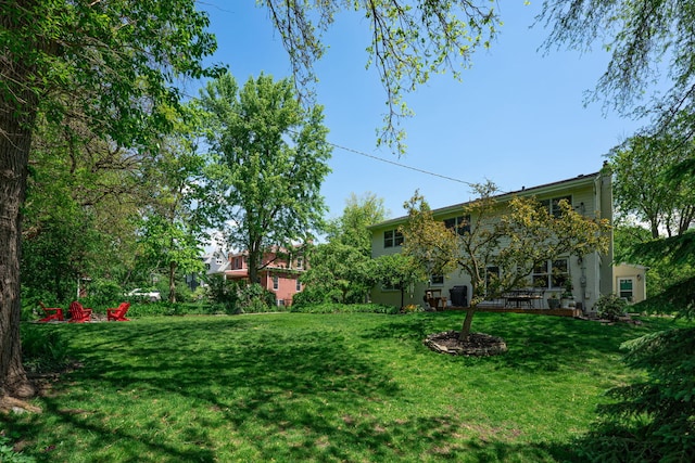 846 Park Dr, Flossmoor, IL 60422 - view of grassy yard