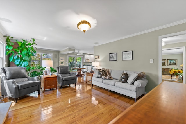 846 Park Dr, Flossmoor, IL 60422 - living room with ornamental molding and light wood-type flooring