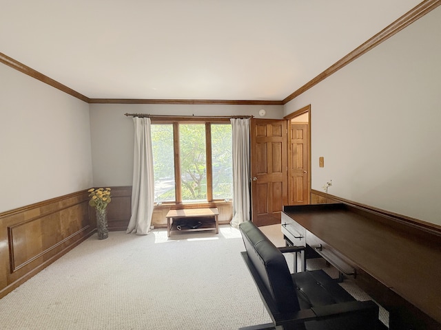 1463 Lantern Cir, Naperville, IL 60540 - office featuring carpet, wainscoting, and ornamental molding