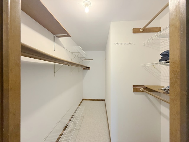 1463 Lantern Cir, Naperville, IL 60540 - view of walk in closet