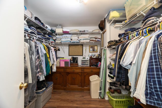 3410 N Lake Shore Dr Unit 9A, Chicago, IL 60657 - spacious closet featuring wood finished floors