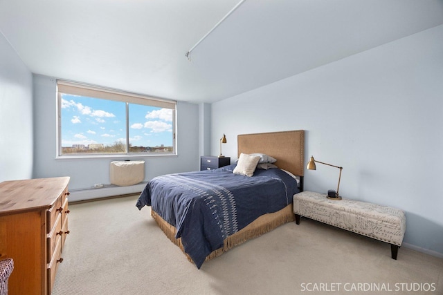 40 N Tower Rd Unit 5B, Oak Brook, IL 60523 - bedroom featuring carpet floors and baseboard heating