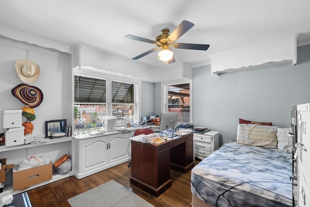 1844 N 77th Ct, Elmwood Park, IL 60707 - bedroom with crown molding, a desk, dark wood-type flooring, and ceiling fan