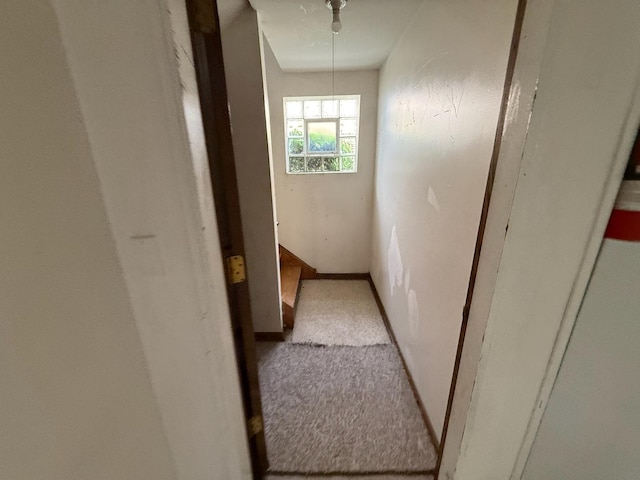 1235 S Mannheim Rd, Westchester, IL 60154 - hall with light carpet and baseboards