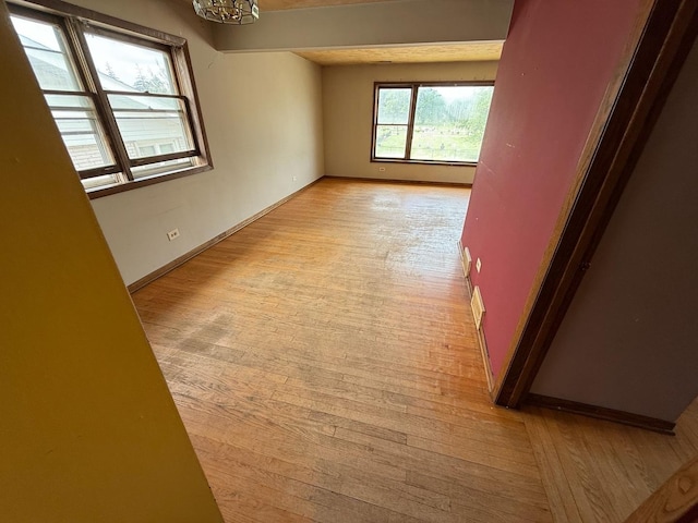 1235 S Mannheim Rd, Westchester, IL 60154 - hallway with light wood finished floors and baseboards