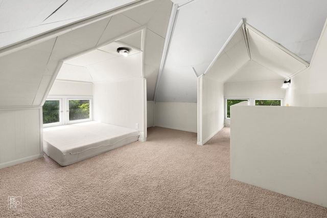 712 Lebanon St, Aurora, IL 60505 - bonus room featuring lofted ceiling and carpet floors