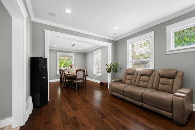 712 Lebanon St, Aurora, IL 60505 - living room featuring dark wood-style flooring, baseboards, ornamental molding, and recessed lighting