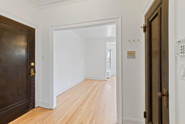 847 S Humphrey Ave Unit 3, Oak Park, IL 60304 - hallway featuring light wood-style flooring, ornamental molding, and baseboards