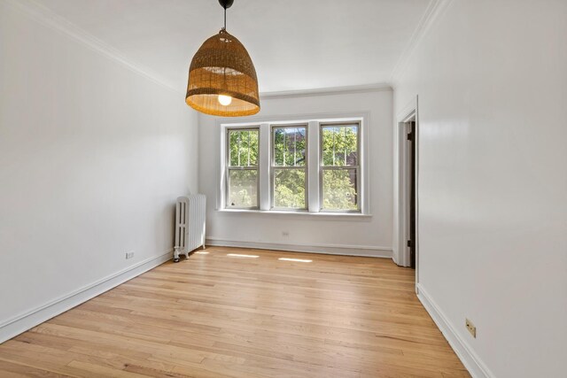847 S Humphrey Ave Unit 3, Oak Park, IL 60304 - unfurnished room with radiator, ornamental molding, light wood finished floors, and baseboards