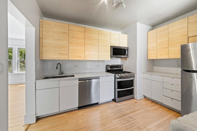 847 S Humphrey Ave Unit 3, Oak Park, IL 60304 - kitchen featuring stainless steel appliances, a sink, light countertops, light wood finished floors, and tasteful backsplash