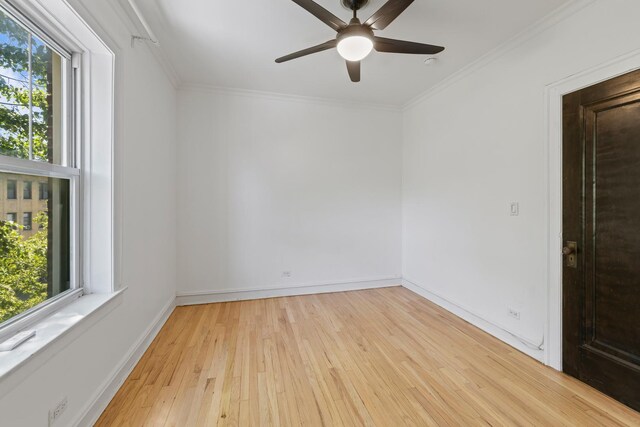 847 S Humphrey Ave Unit 3, Oak Park, IL 60304 - spare room featuring wood-type flooring, a ceiling fan, crown molding, and baseboards