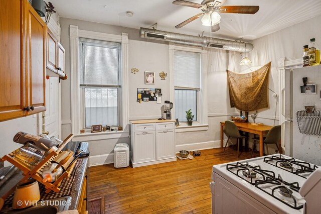 862 N Hermitage Ave, Chicago, IL 60622 - photo 20