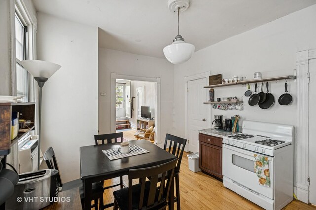 862 N Hermitage Ave, Chicago, IL 60622 - photo 9