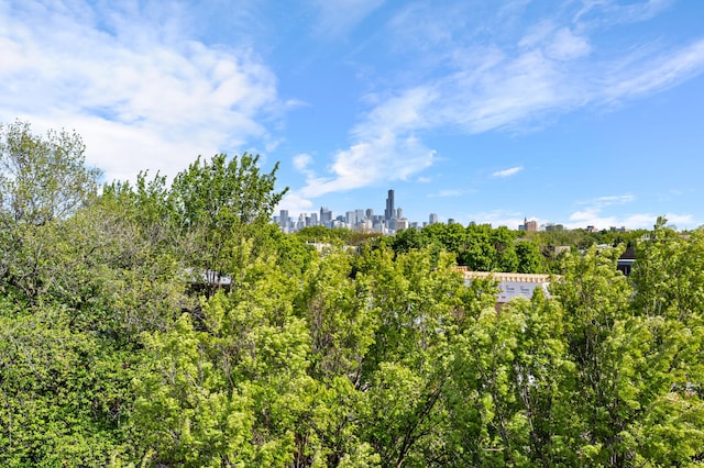 2207 N Western Ave Unit 2C, Chicago, IL 60647 - view of undeveloped land featuring city skyline