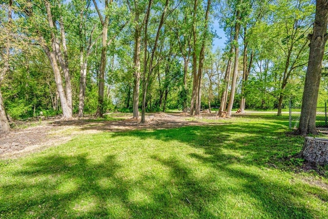 2425 W Riverside Dr, Mchenry, IL 60050 - view of green lawn