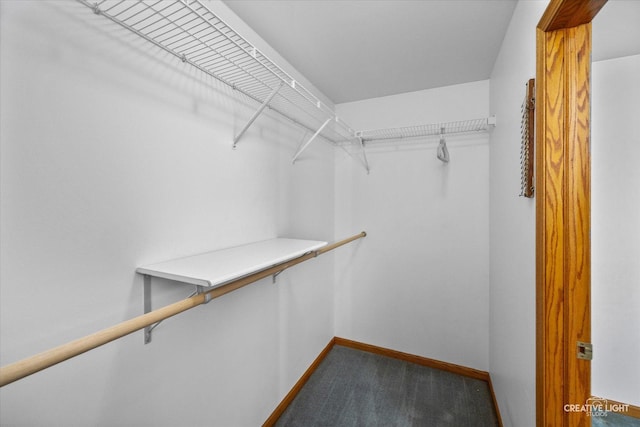 1345 William St, Sycamore, IL 60178 - spacious closet with carpet floors