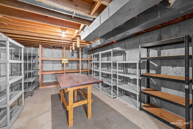 1345 William St, Sycamore, IL 60178 - view of storage