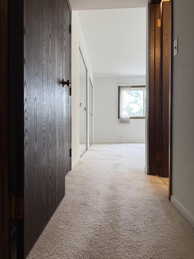 4100 Cove Ln Unit F, Glenview, IL 60025 - hallway with carpet and baseboards