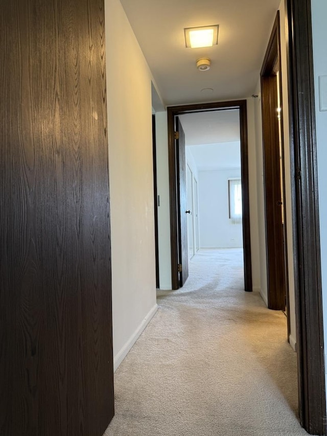 4100 Cove Ln Unit F, Glenview, IL 60025 - corridor featuring light carpet and baseboards